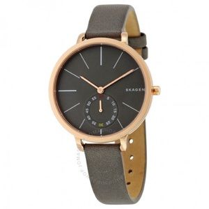 New, never worn in box Skagen watch